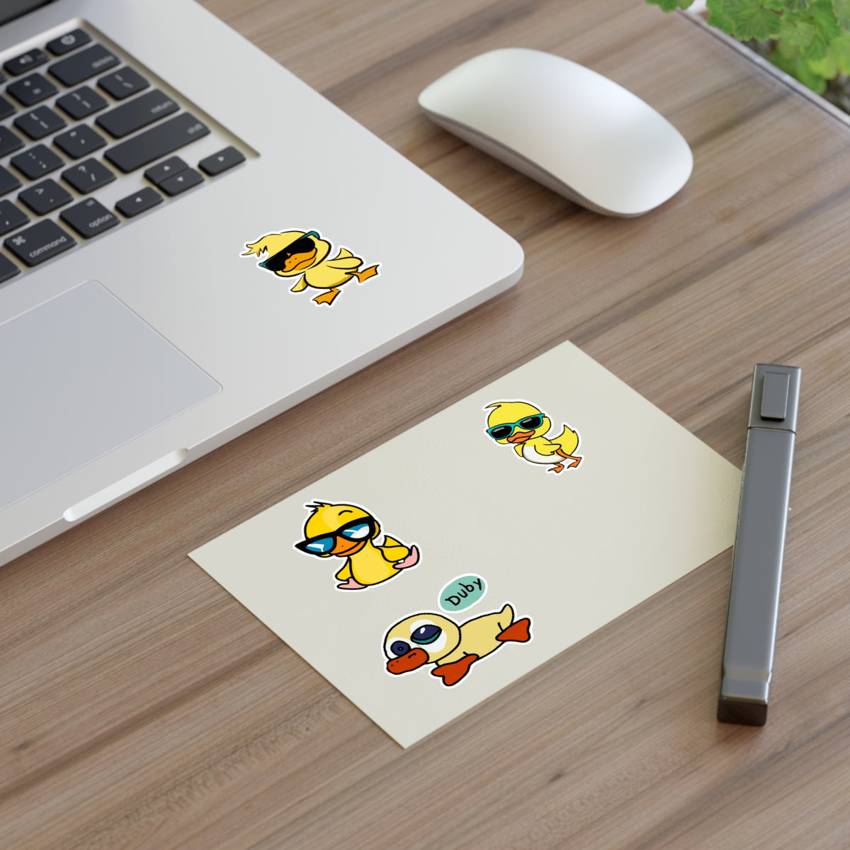 Cool Duck exclusive Sheet
