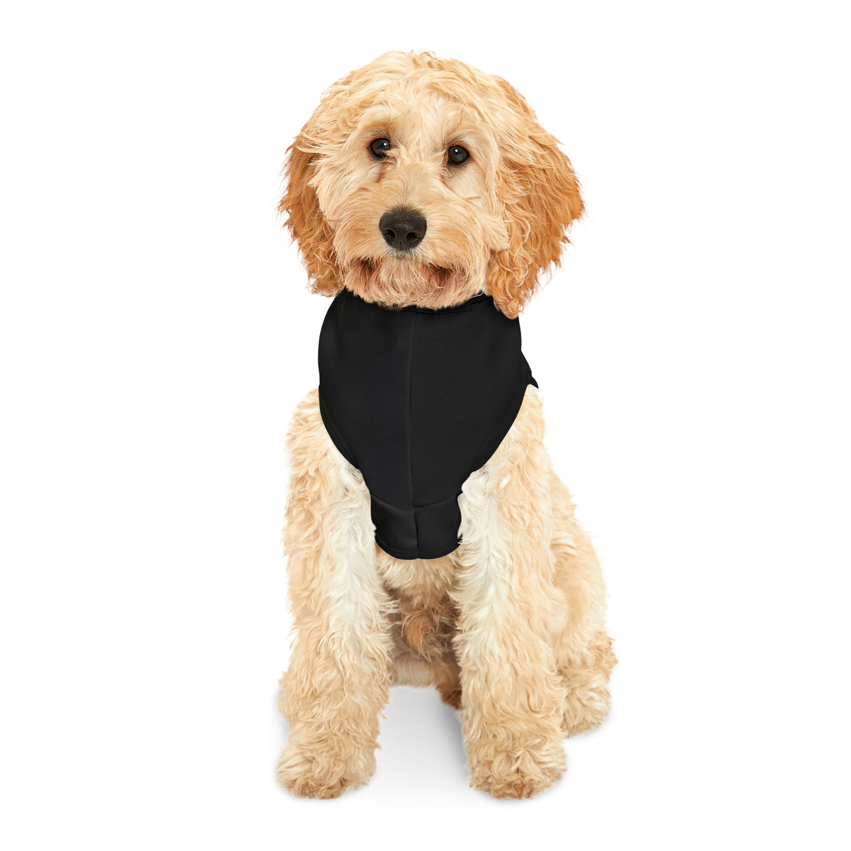 Pets that Shred, Support the Forte Dog hoodies