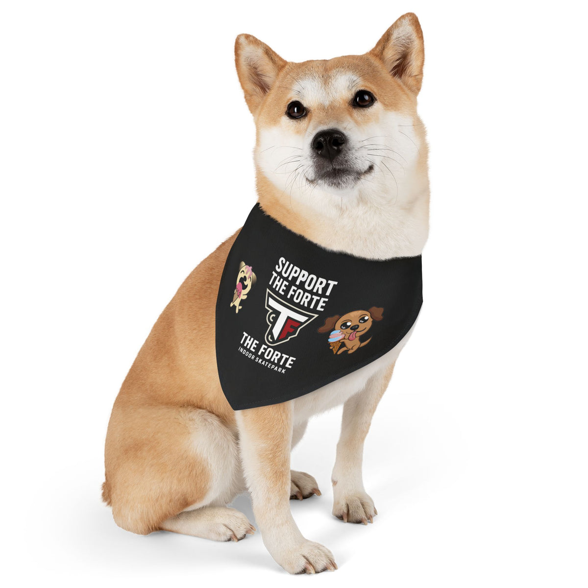 Support the Forte Pet Bandana Collar