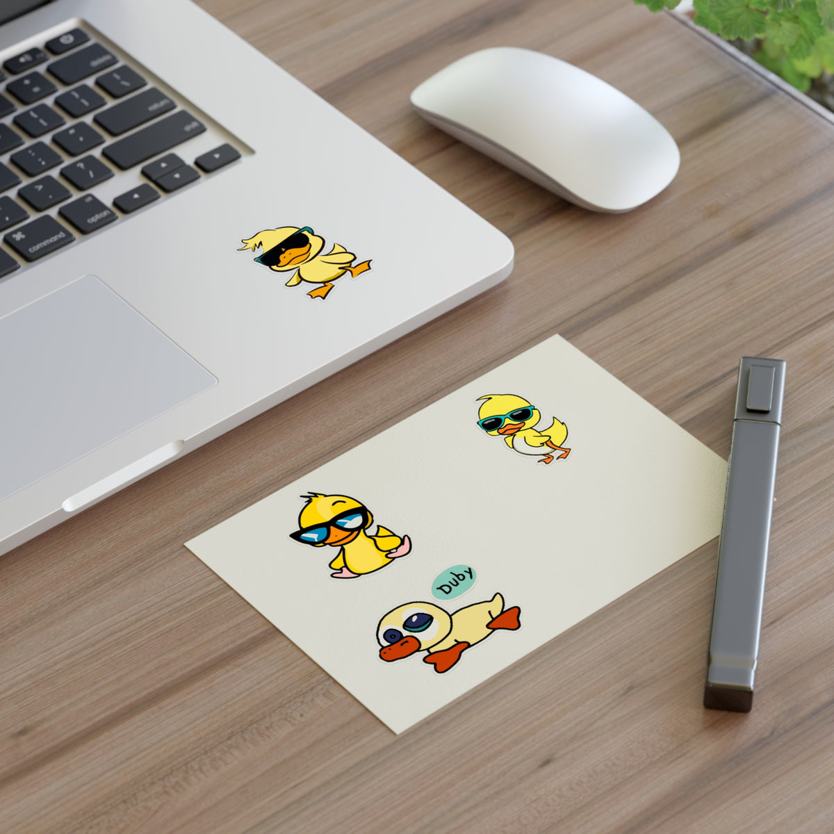 Cool Duck exclusive Sheet