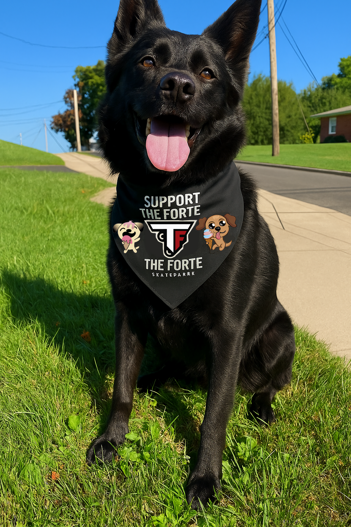 Support the Forte Pet Bandana Collar
