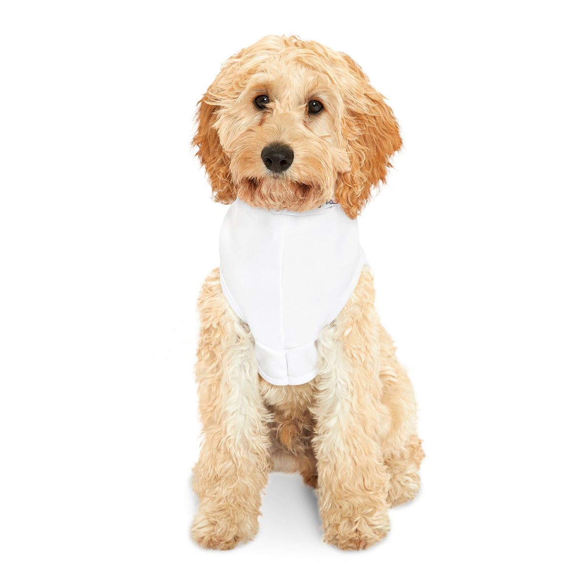 Pets that Shred, Suport The Forte hoodie.